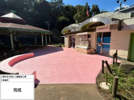 町田市リス園様  リス放し飼いエリア床塗装及び床セメント補修